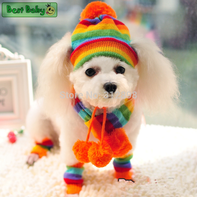Kış Pet Köpek Aksesuarları Köp - Baby Products Expo incelemesi ve fiyatı