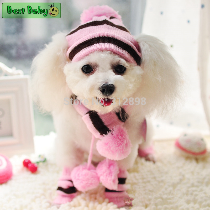 Kış Pet Köpek Aksesuarları Köp - Baby Products Expo incelemesi ve fiyatı