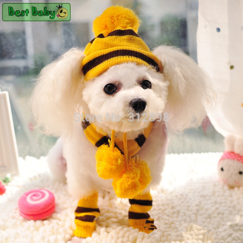 Kış Pet Köpek Aksesuarları Köp - Baby Products Expo incelemesi ve fiyatı